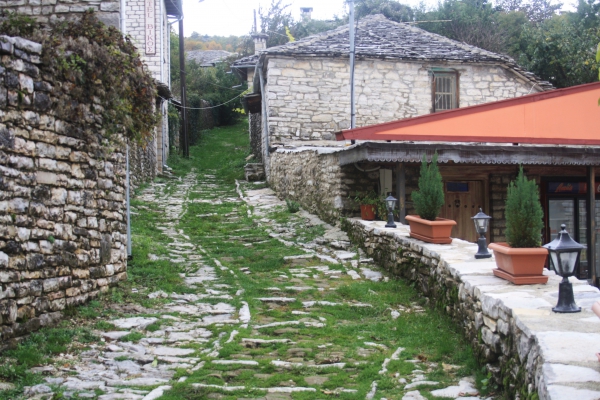 Zdjęcie z Grecji - Monodendri