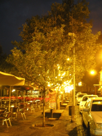 Zdjęcie z Portugalii - Ribeira Brava