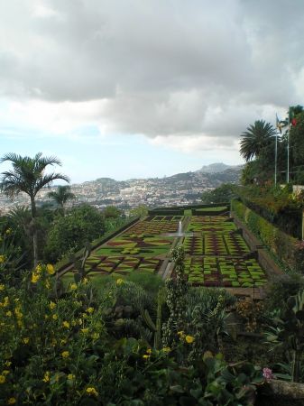 Zdjęcie z Portugalii - Jardim Botanico