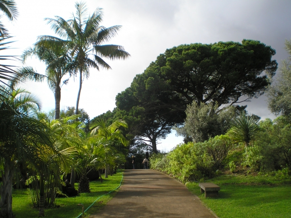 Zdjęcie z Portugalii - Jardim Botanico