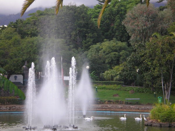 Zdjęcie z Portugalii - Jardim de Santa Catarina