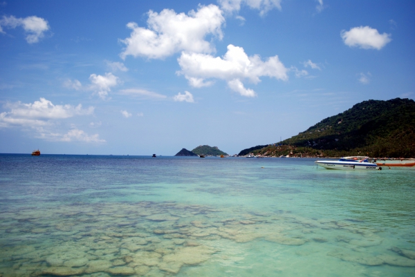 Zdjęcie z Tajlandii - Rafy koralowe na Koh Tao