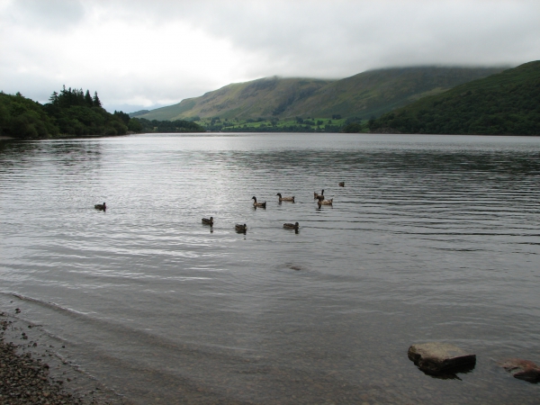 Zdjęcie z Wielkiej Brytanii - Lake District