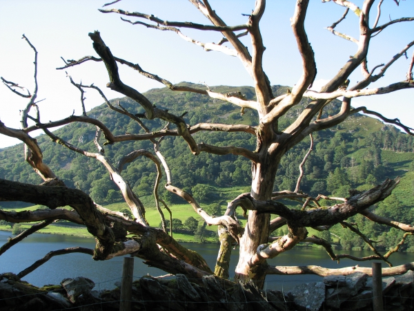 Zdjęcie z Wielkiej Brytanii - Lake District