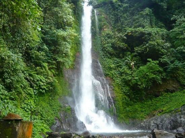 Zdjęcie z Indonezji - BALI