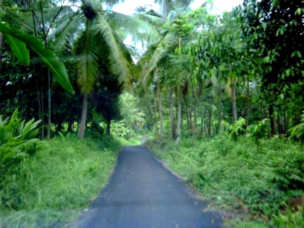 Zdjęcie z Indonezji - BALI