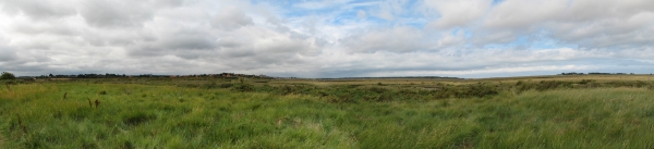 Zdjęcie z Wielkiej Brytanii - Wells-next-the-sea