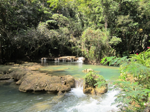 Zdjęcie z Jamajki - YS Falls