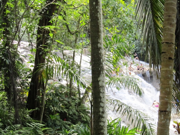 Zdjęcie z Jamajki - Dunn´s River Falls