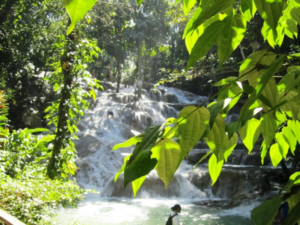 Zdjęcie z Jamajki - Dunn´s River Falls