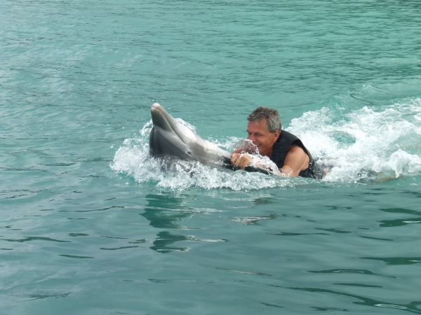 Zdjęcie z Jamajki - Ocho Rios - Dolphin Cove