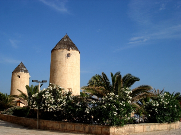 Zdjęcie z Hiszpanii - Pallma de Mallorca 