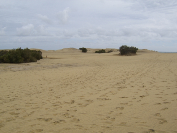Zdjęcie z Hiszpanii - Maspalomas