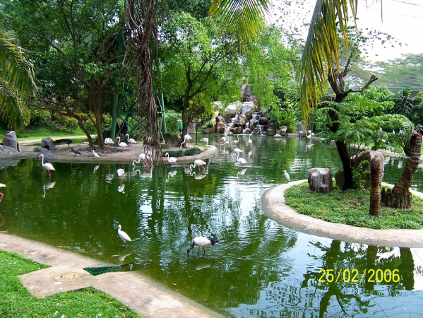 Zdjęcie z Malezji - Park Ptasi Taman Burung