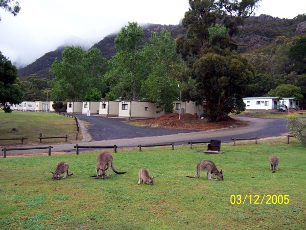 Zdjęcie z Australii - Domki kempingowe...
