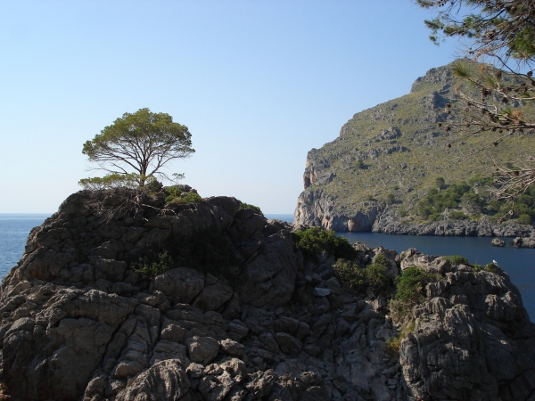 Zdjęcie z Hiszpanii - Zatoka Sa Calobra.