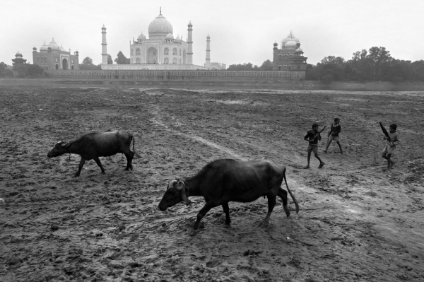 Zdjęcie z Indii - Taj Mahal