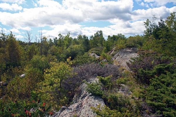 Zdjęcie z Kanady - Osada French River