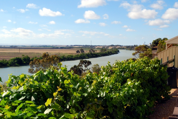 Zdjęcie z Australii - Rzeka Murray River...