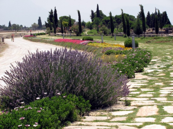 Zdjęcie z Turcji - Ogrody Pamukkale.