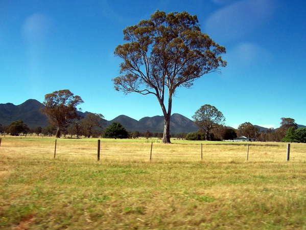 Zdjęcie z Australii - Gory Grampians