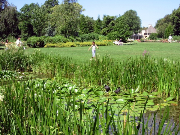 Zdjęcie z Holandii - Haga - Westbroekpark.