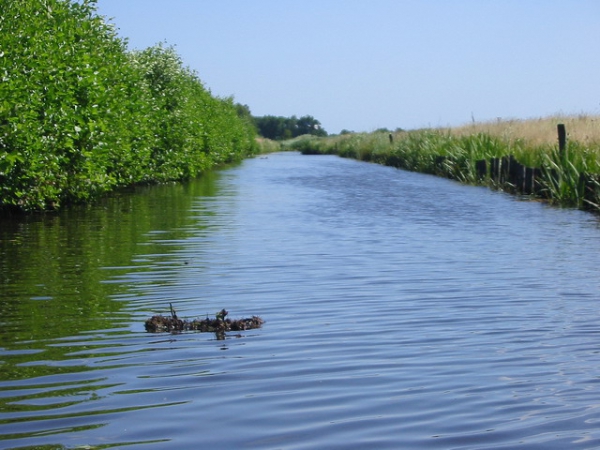 Zdjęcie z Holandii - Giethoorn - do jeziora.