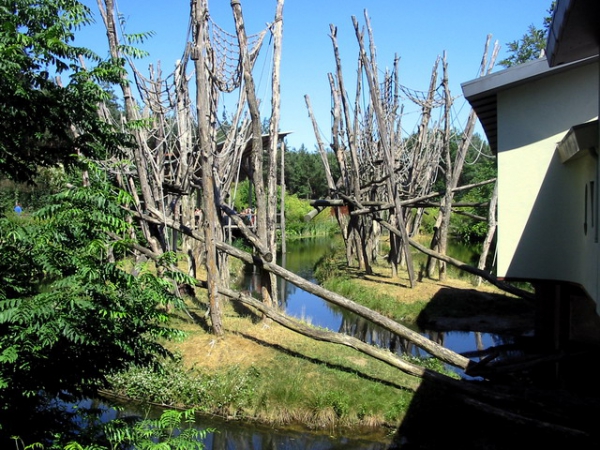 Zdjęcie z Holandii - Apenheul ZOO.