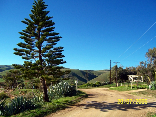 Zdjęcie z Australii - Osada Myponga Beach