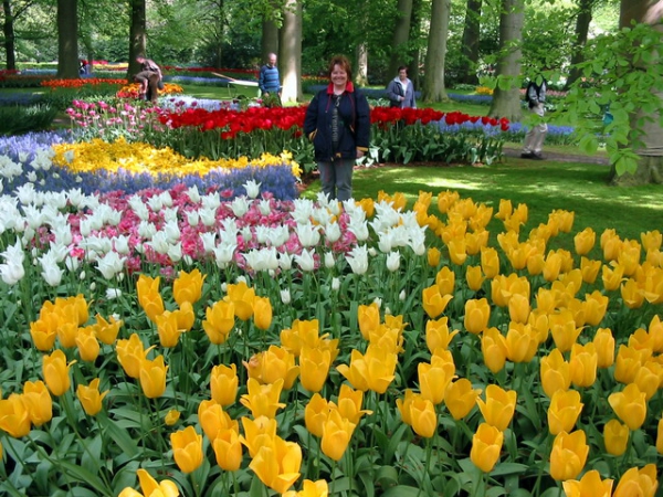 Zdjęcie z Holandii - Ogród Keukenhof.