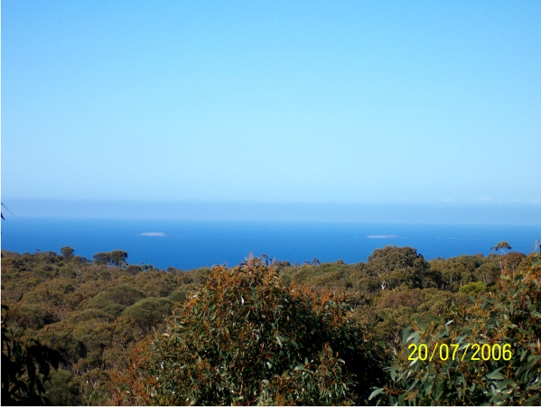 Zdjęcie z Australii - W rezerwacie Deep Creek