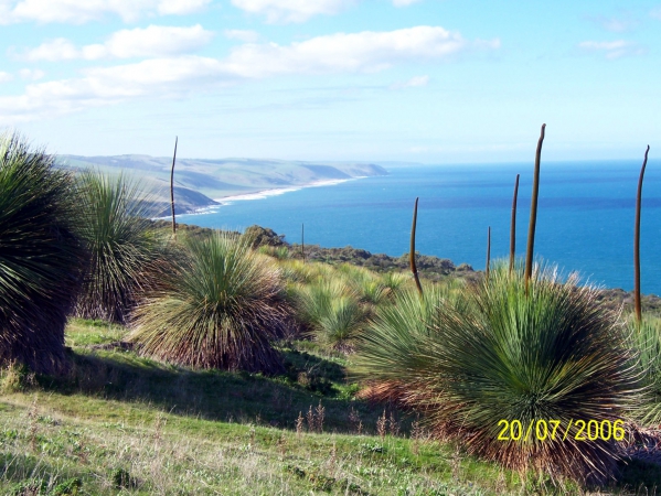 Zdjecie - Australia - Deep Creek