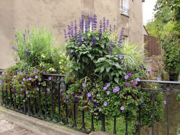 Zdjęcie z Francji - Provins-deco.