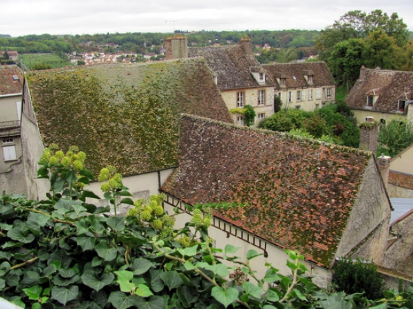 Zdjęcie z Francji - Dachy Provins.