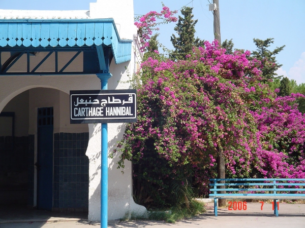 Zdjęcie z Tunezji - Cartagina