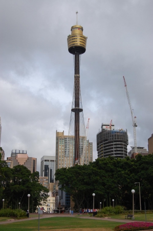 Zdjęcie z Australii - Sydney Tower