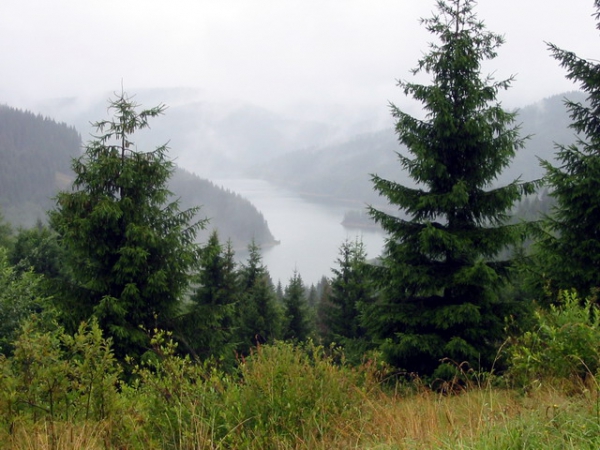 Zdjęcie ze Słowacji - Beskidy Kisuckie.