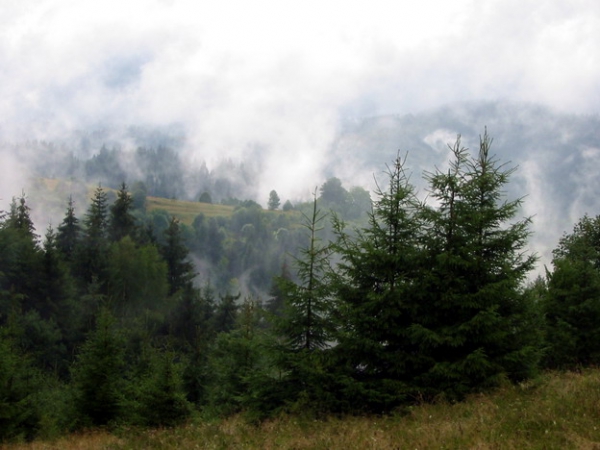 Zdjęcie ze Słowacji - Beskidy Kisuckie...