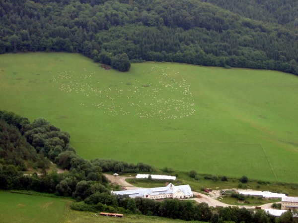 Zdjęcie ze Słowacji - Łąka - Sulovskie Skaly.