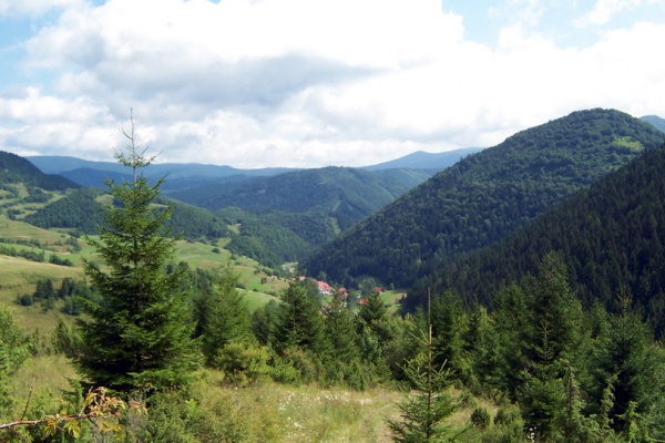Zdjęcie ze Słowacji - Mała Fatra.