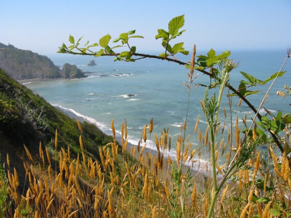 Zdjęcie ze Stanów Zjednoczonych - Enderts Beach.