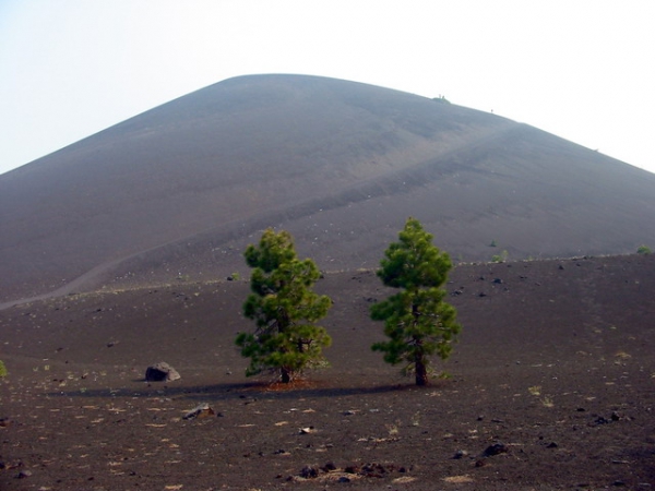 Zdjęcie ze Stanów Zjednoczonych - Cinder Cone Trail.