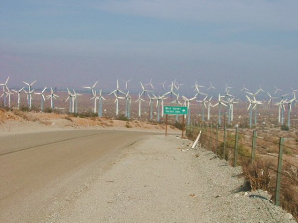 Zdjęcie ze Stanów Zjednoczonych - Kalifornia 2002.