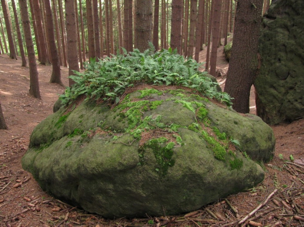 Zdjęcie z Polski - Głazy Krasnoludków.