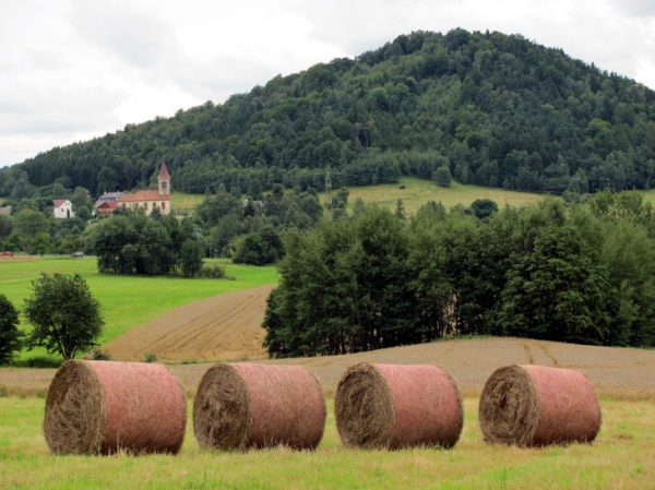 Zdjęcie z Czech - Czeskie Średniogórze.