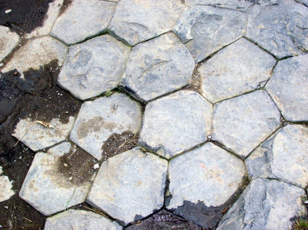 Zdjęcie z Czech - Natura czy człowiek?