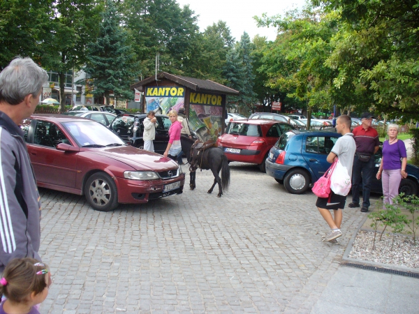 Zdjęcie z Polski - 