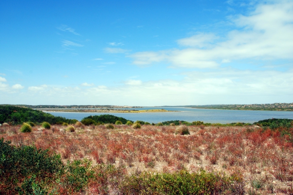 Zdjęcie z Australii - Slone jezioro Coorong...