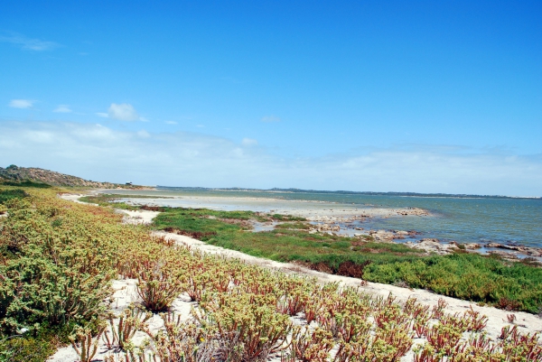 Zdjęcie z Australii - Jezioro i wydmy Coorong..