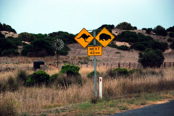 Zdjęcie z Australii - Australijskie klimaty